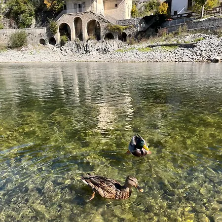 I Germani Reali *