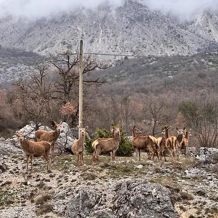 I Germani Reali * Scanno